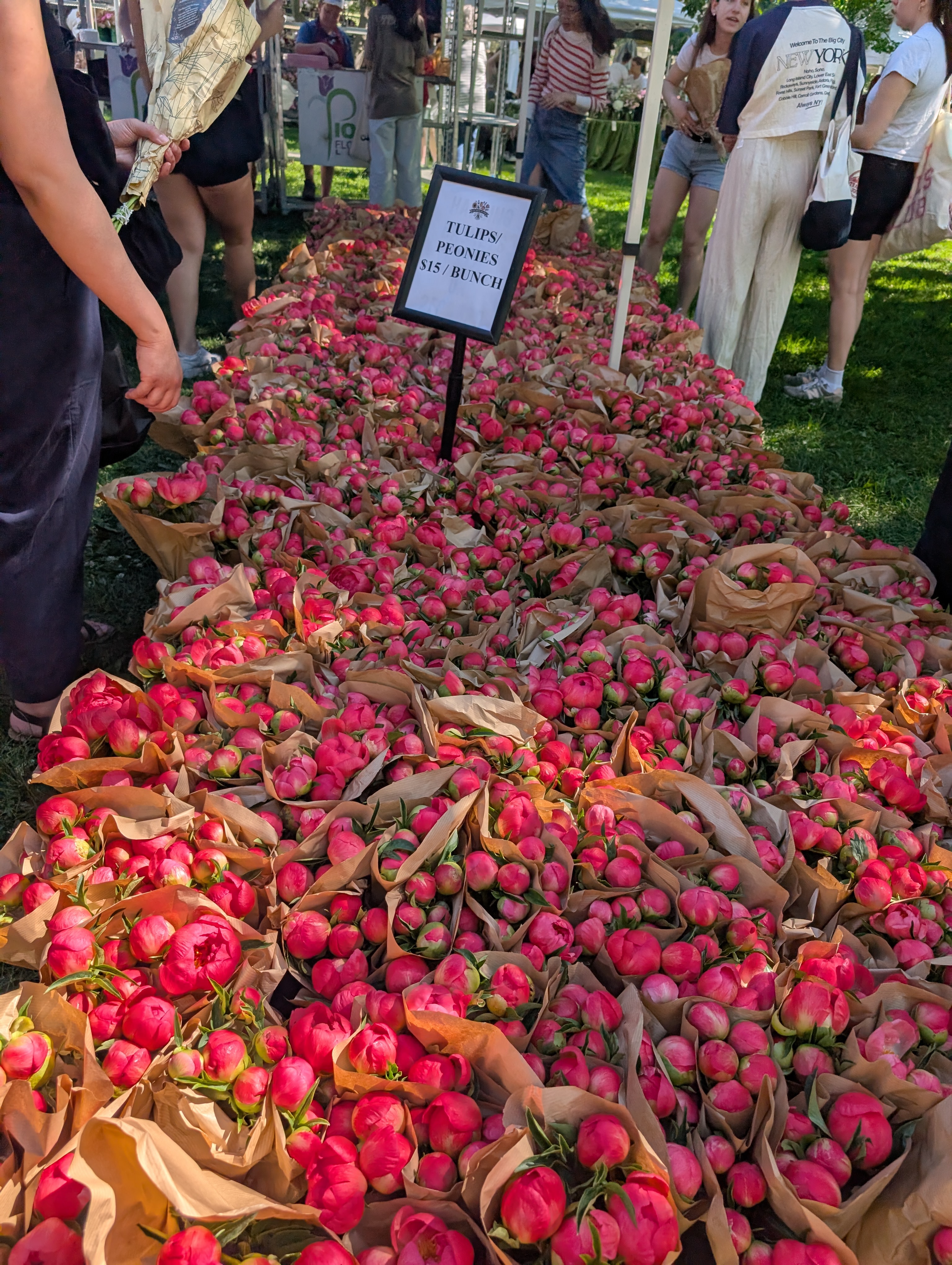 Peonies