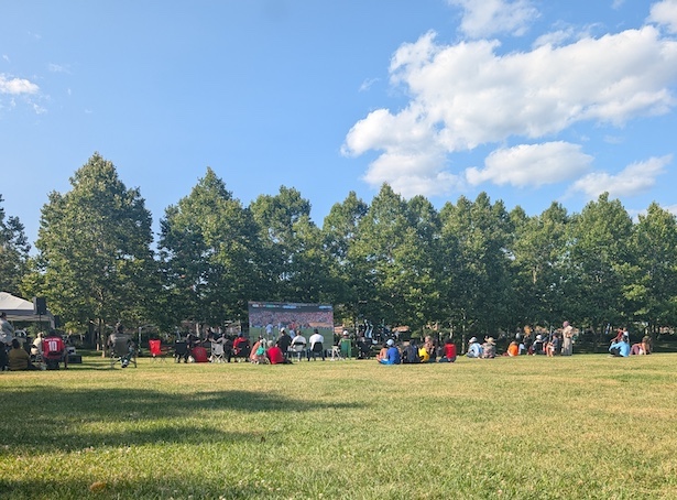 World Cup watch party in the park