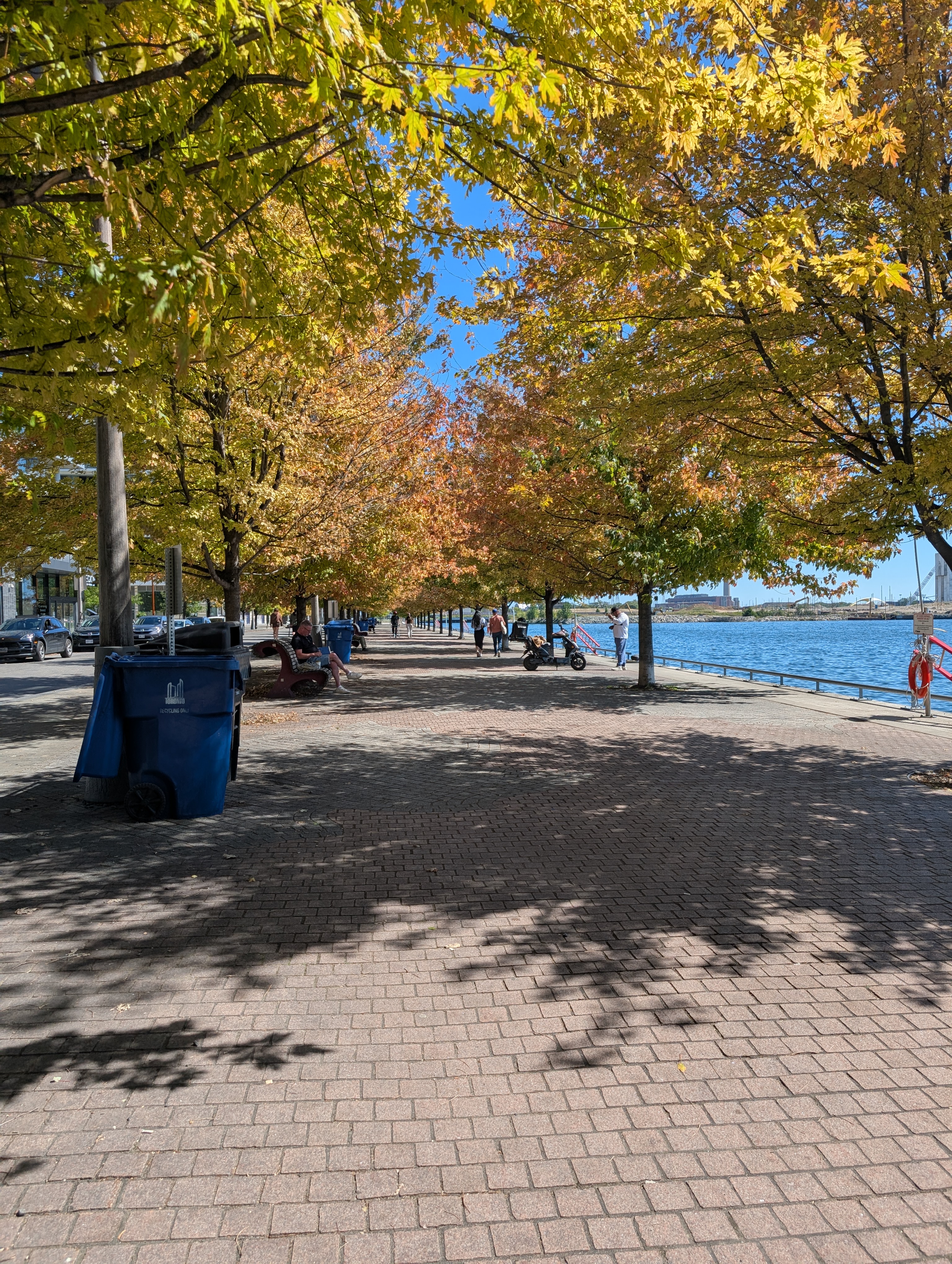 A view of a waterfront pathway with the water on the right and some trees changing colour flanking the path